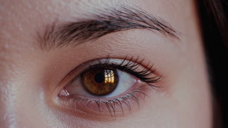 primer plano del ojo de una mujer.