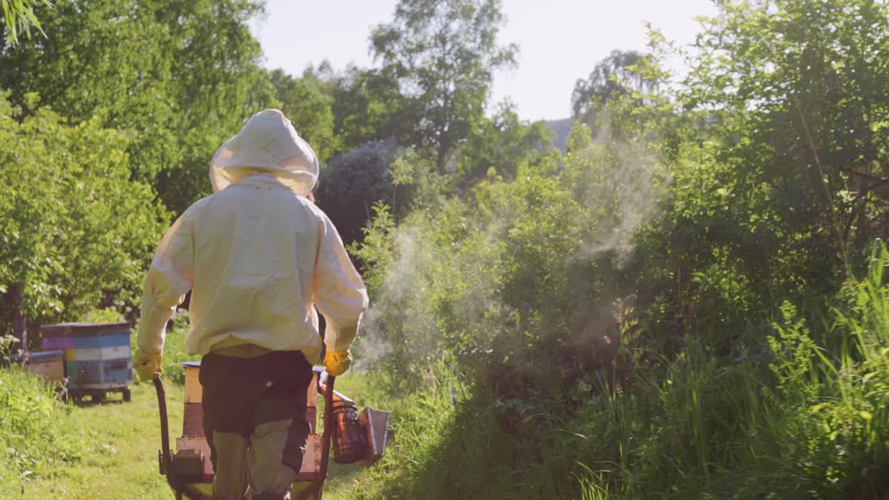 Beekeeper working at an apiary