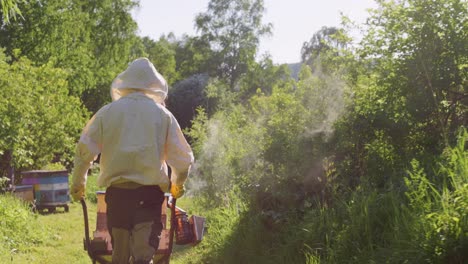 beekeeper working at an apiary