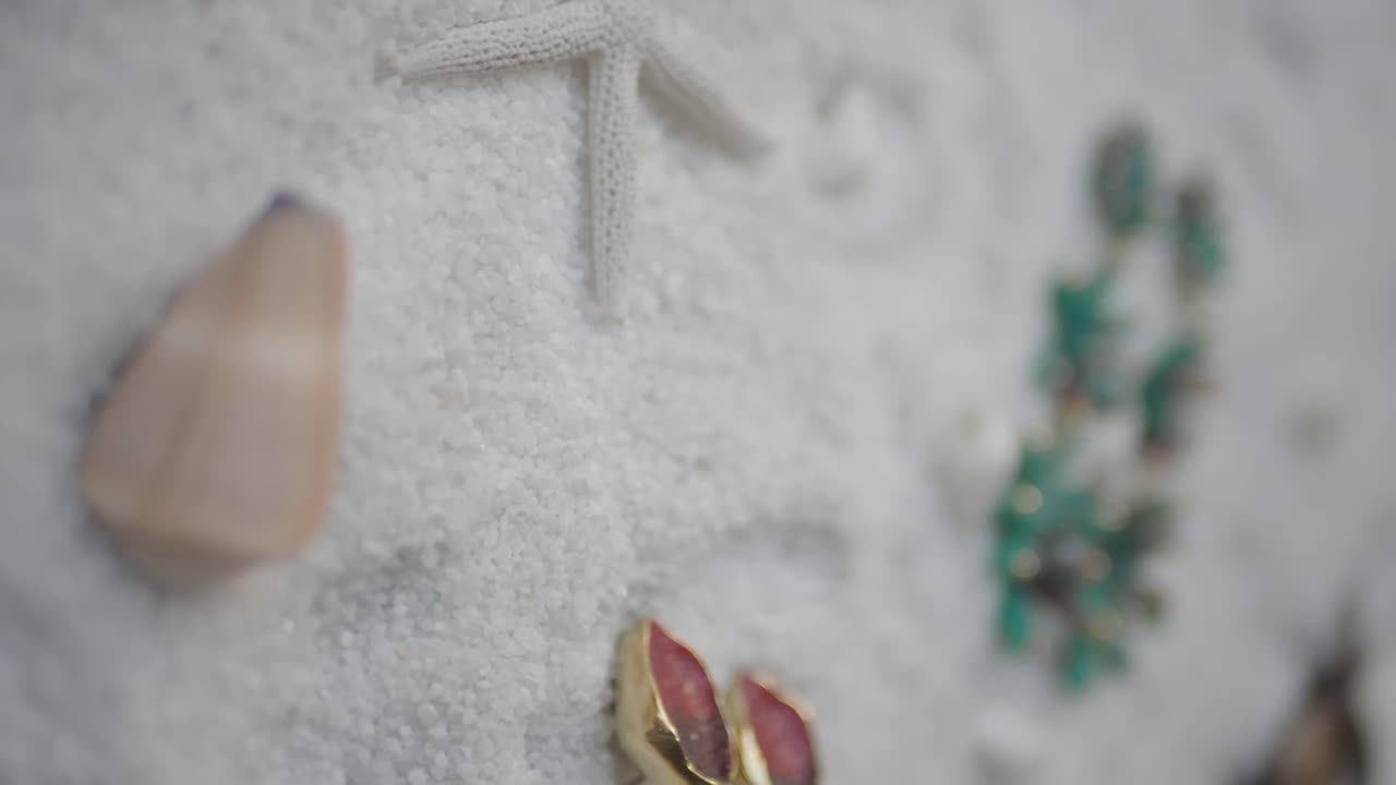 Underwater scene with starfish and coral