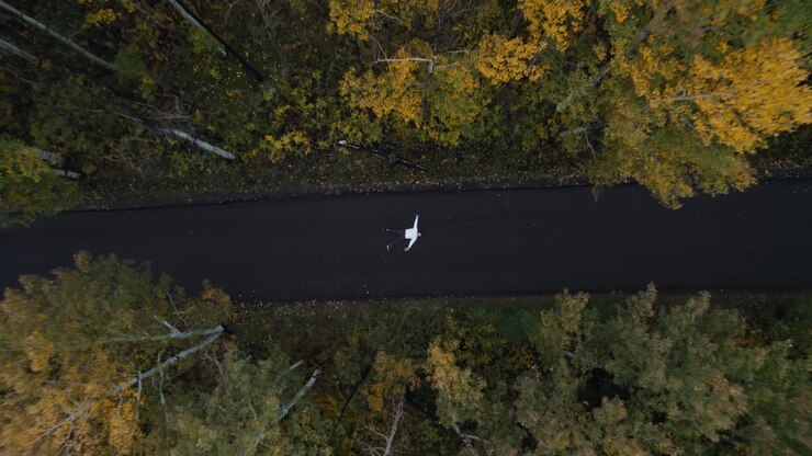 Drone take off into clouds from Alpine loop road while man lay on the ground