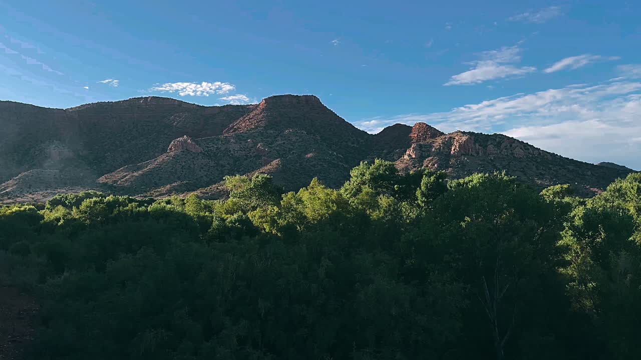vista a la montaña con bosque