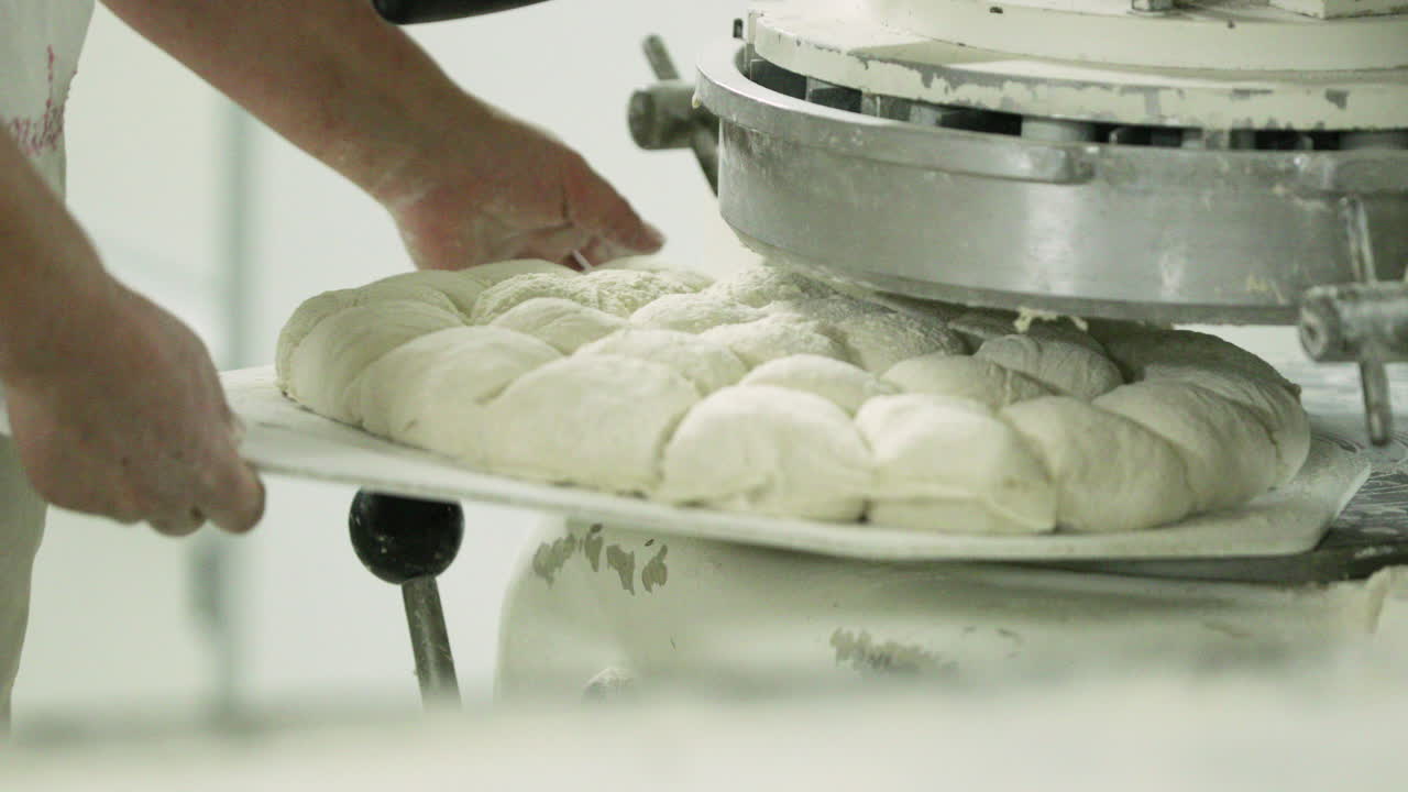 Dough Divider Cutting Machine - Baker Taken Out The Divider Plate With Dough After Cutting Into Same Weight. - close up shot