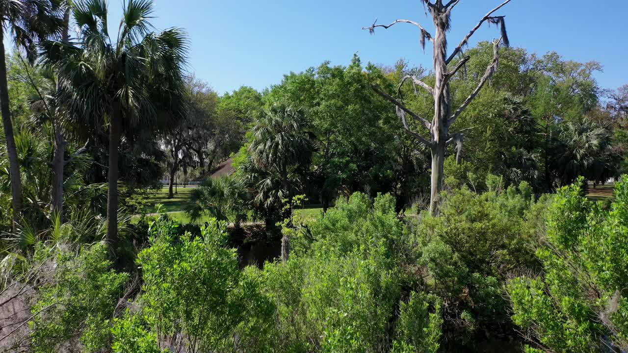 뉴올리언스와 교외에 있는 도시 공원에서 나무의 조감도