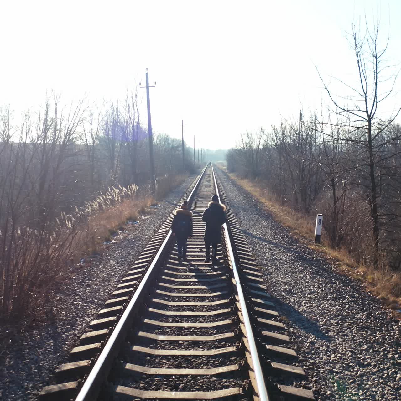 People walking on railway in forest