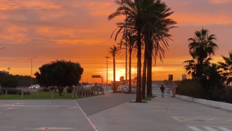 Weite-Ansicht-Der-Palmensilhouette-Mit-Rotem-Sonnenuntergang-Am-Horizont-In-Carcavelos,-Portugal