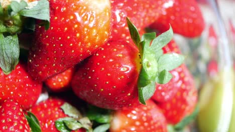 frische erdbeeren