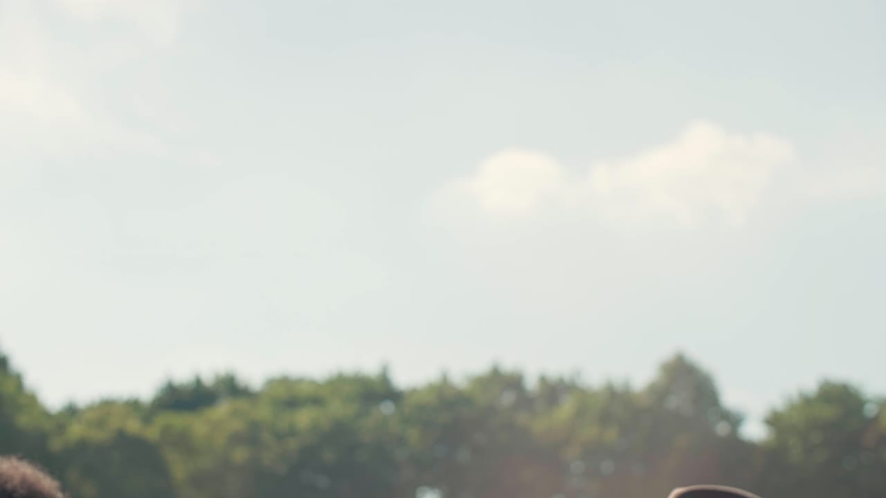 음악 축제 에서 환호 를 하는 사람 들 의 모임