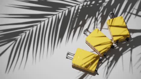 suitcases on tropical white background