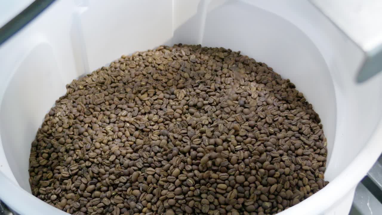 Explore the intricate process of coffee bean harvesting in a production facility.