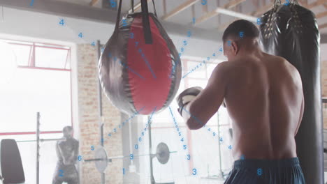 training with punching bag, boxer with data processing animation overlay