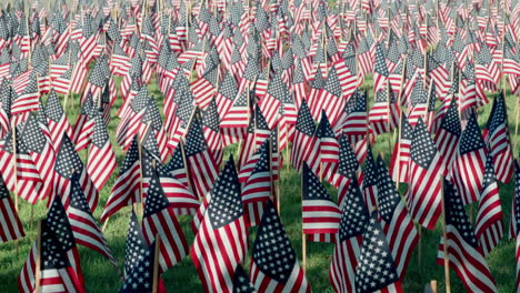 thousands of american flags fluttering in the wind on anniversary of september 11