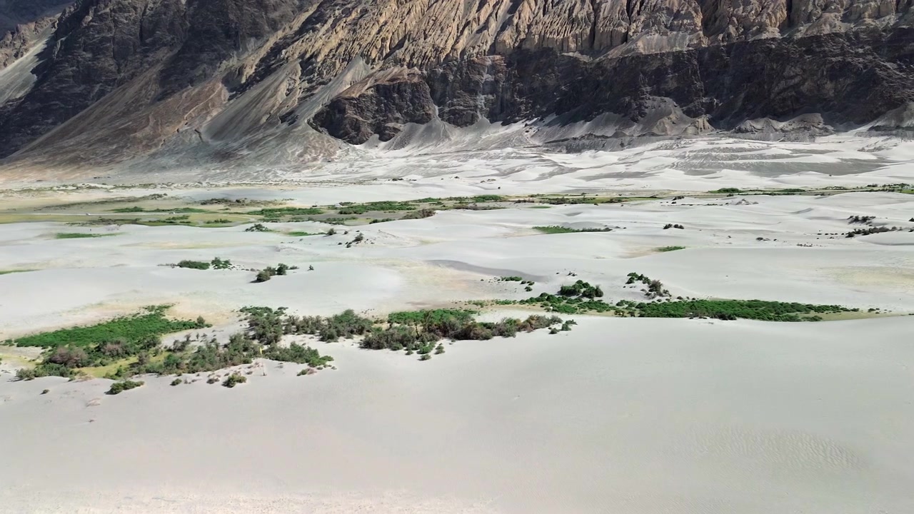 Wide aerial panning shot of the white sand dunes of Hunder with green vegetation spots, sweeping across arid rocky mountains and snow capped peaks in Nubra Valley, Ladakh, India.
