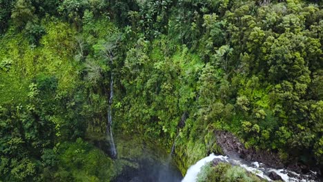 drone going above akaka falls in hawaii. the falls is 100ft deep.