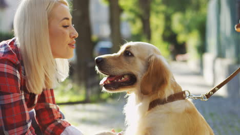 close up view of young blond woman on the street petting a cute labrador dog on a sunny day