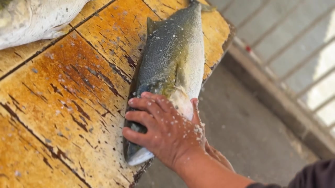 cleaning fish at the local fishing harbour