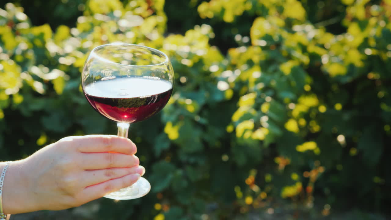 w에서 시음하는 포도원 와인의 배경에 대해 손이 화이트 와인 잔을 들고 있습니다.