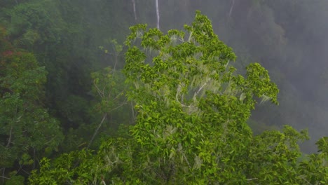 aerial pov flight view over the amazon rainforest lush trees, in colombia, on a rainy and cloudy day