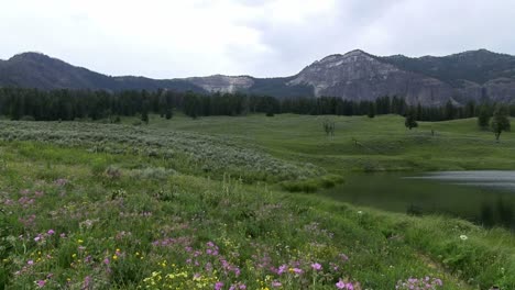 Un-Lago-En-El-Parque-Nacional-De-Yellowstone-1