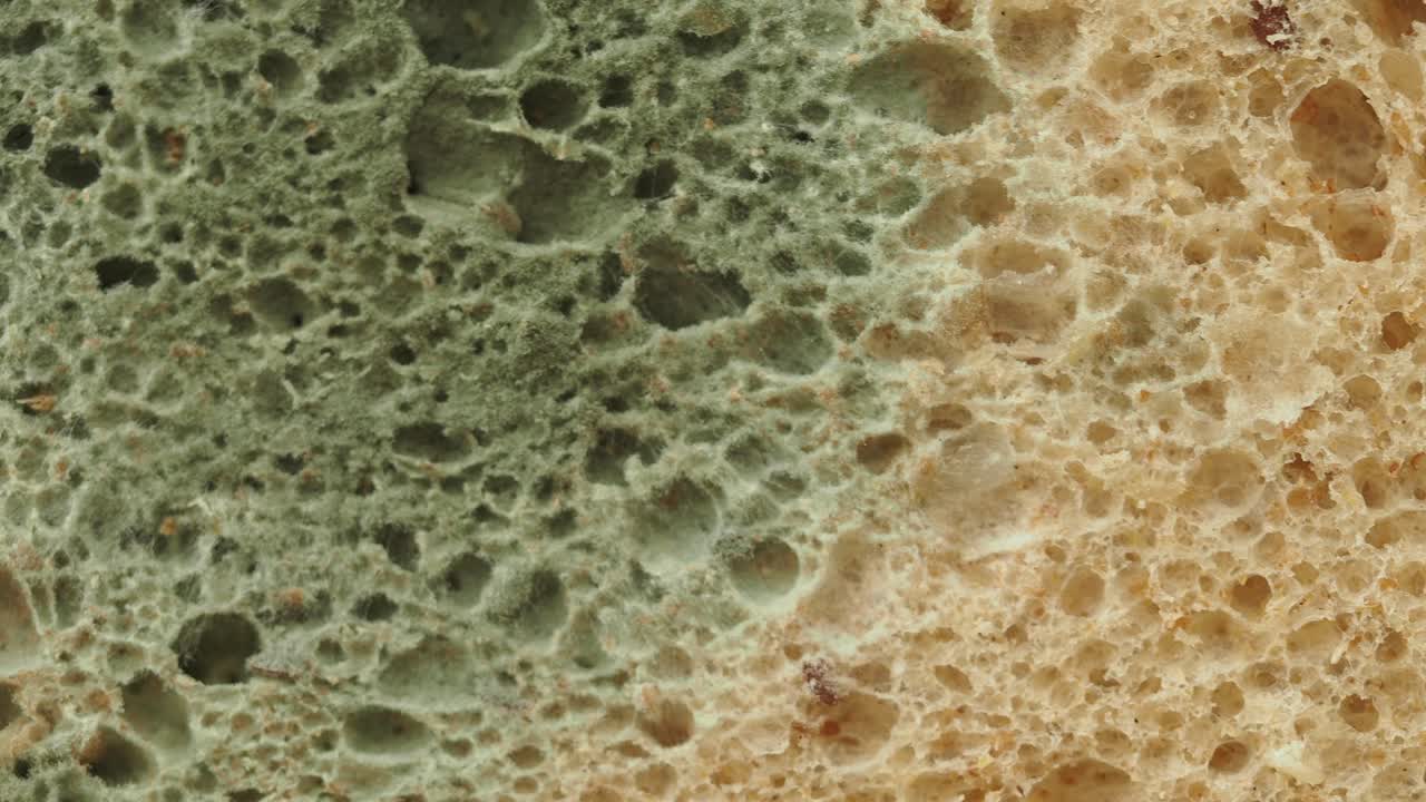 una rebanada de pan con moho