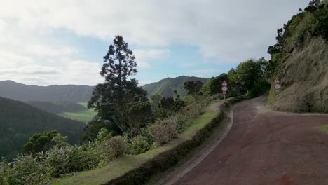 stunning view of a green valley and winding road in the azores