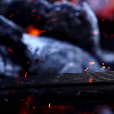 bonfire. burning logs in orange flames. beautiful fire burns brightly. embers of the fire climb up. slow motion