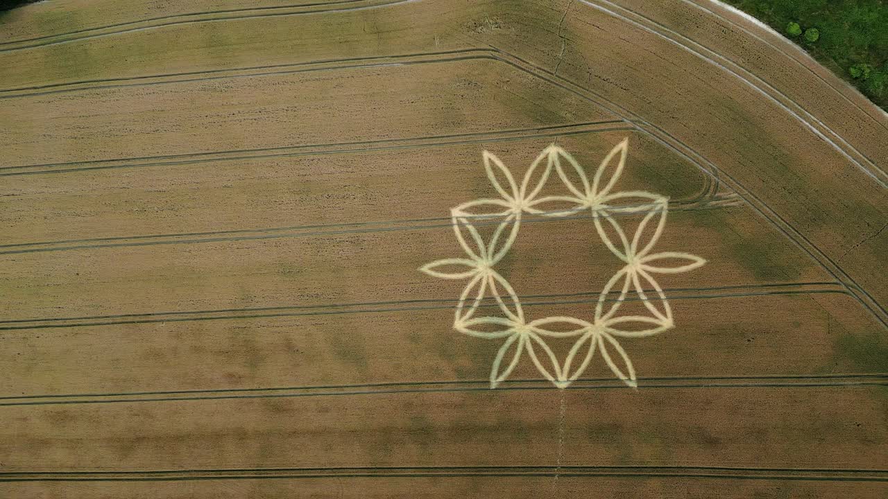 tierra de cultivo dorada patrón de flores geométricas círculo de cosecha cerca de warminster, inglaterra - toma aérea