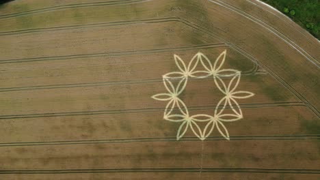 Golden-Farmland-Geometric-Flower-Pattern-Crop-Circle-Near-Warminster,-England---aerial-shot