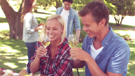 Familia-Feliz-Brindando-Durante-Un-Picnic