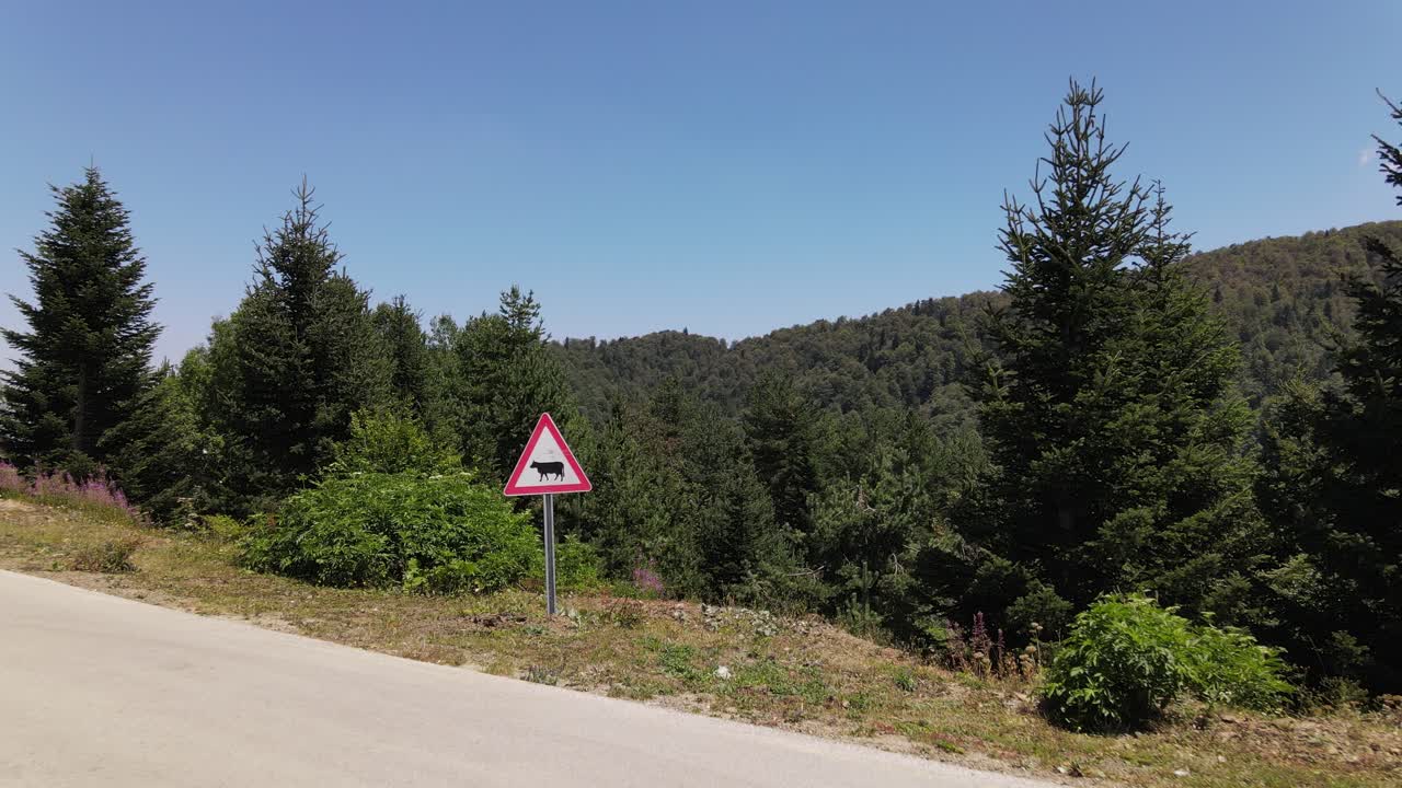 숲길에서 조감도 암소 교통 표지