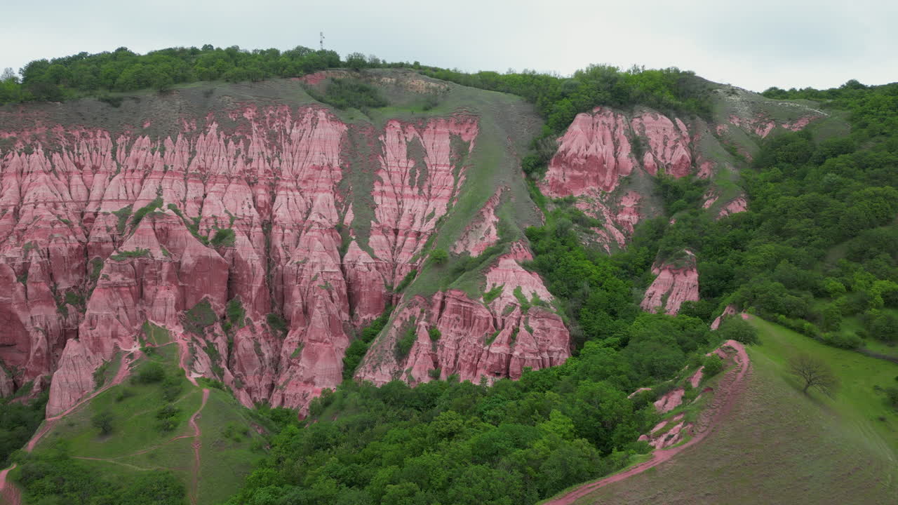 Aerial view: Lush vegetation surrounds the pink cliffs of Rapa Rosie mountain in Romania