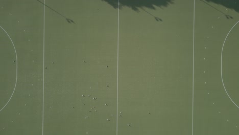 Top-View-Of-Birds-On-The-Ground-Of-Empty-Football-Pitch-In-Balbriggan,-Ireland