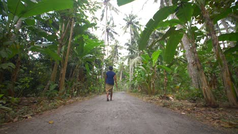 mujer caminando por un camino en la jungla