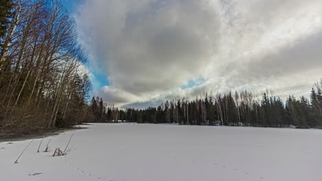 rising sun over a wintry meadow in a pine forest