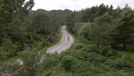 Aerial-view-of-person-walking-on-road-in-green-mountains-during-cloudy-and-windy-day