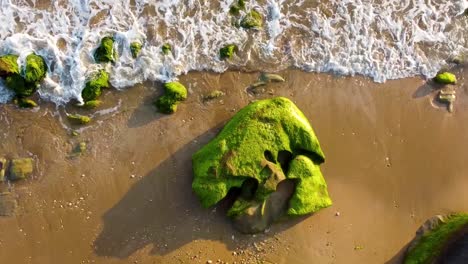 gran piedra de coral en la playa cubierta de algas verdes maravilloso paisaje pintoresco vívido hermosa naturaleza marina en irán isla de hormuz sombra del atardecer y la erosión forma de terreno en el campamento viaje a la aventura