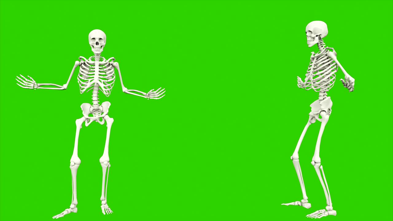 skeleton che parla. animazione a loop senza soluzione di continuità sullo schermo verde.