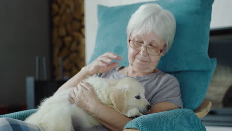 Senior-woman-is-resting-in-a-chair-with-a-puppy-in-her-arms.-Home-comfort-and-secure-old-age