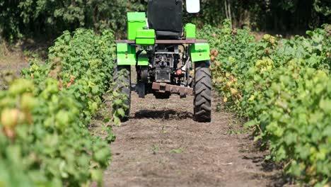 Tractor in a Field of Crops