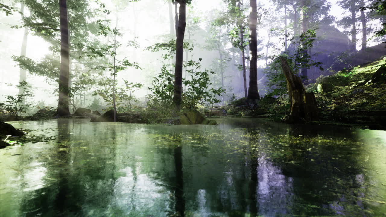 Enchanting forest with calm water reflections and tranquility