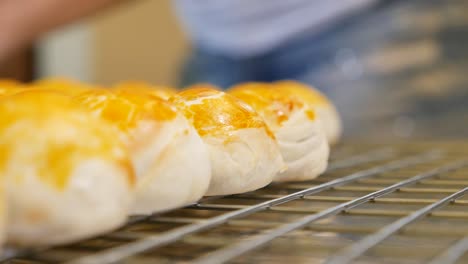 Hand-Put-Baked-Chinese-Pastry-on-Tray,-Close-Up-4