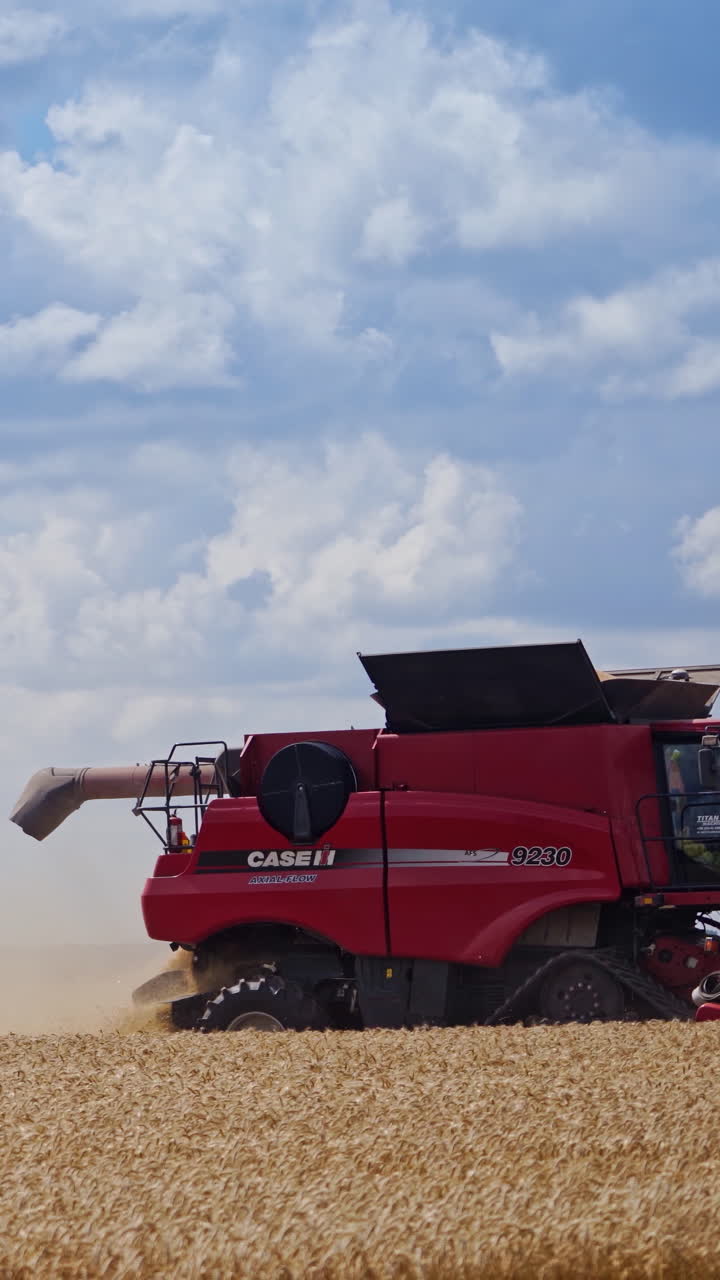 Grain harvest combine harvester. Harvesting machine working in the field. Vertical video