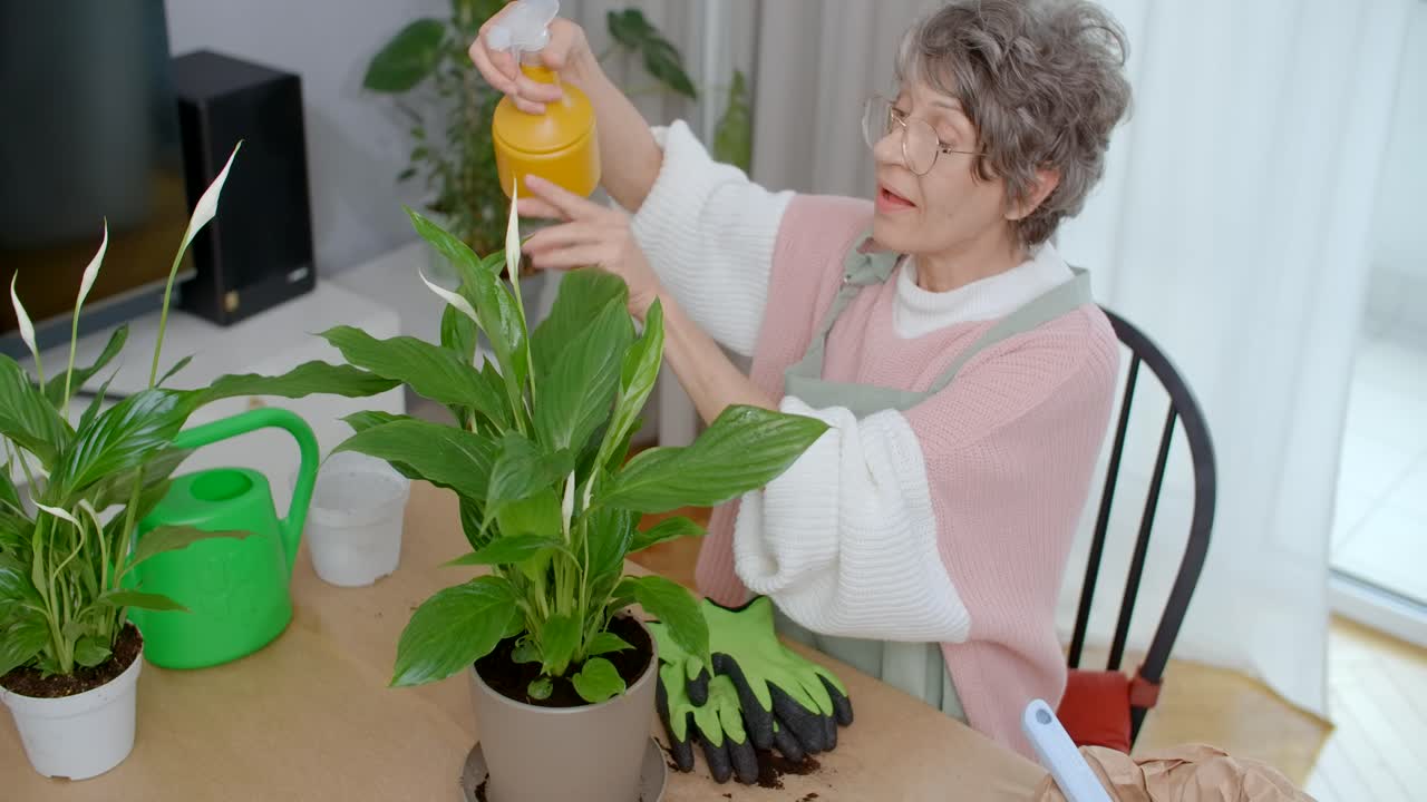 Senior Woman Caring for Peace Lily Plants at Home