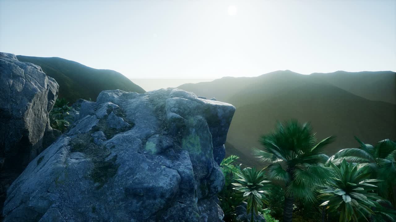 ⁇ 나무 를 가로지르는 해 가 지는 광선