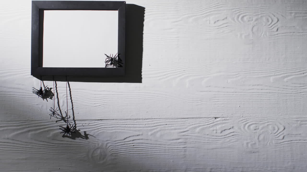 ⁇  배경에 복사 공간과 함께 검은 프레임과 거미의 비디오