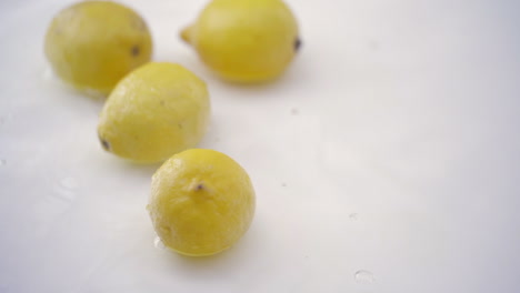 slomo of lemons in water on white backdrop