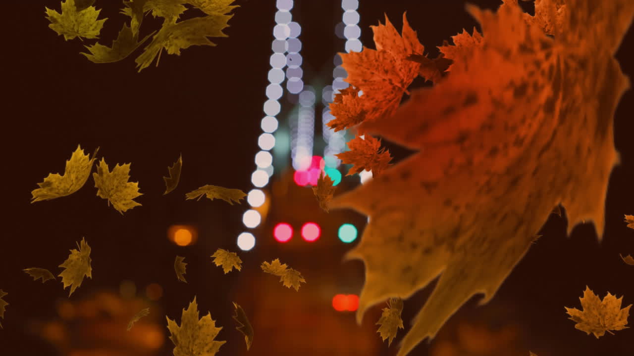 잎이 떨어지는 것