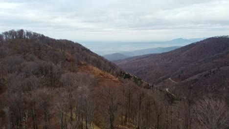 Aerial-view-of-the-croatian-mountain-forest-in-Zagreb,-Croatia