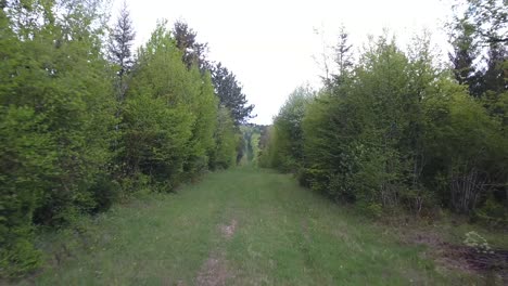 Drone-De-Rápido-Movimiento-En-El-Bosque-De-Verdún,-Francia.