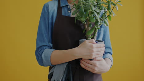 woman holding a jade plant
